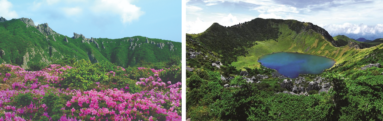 스크린샷 2024-09-16 160815.png