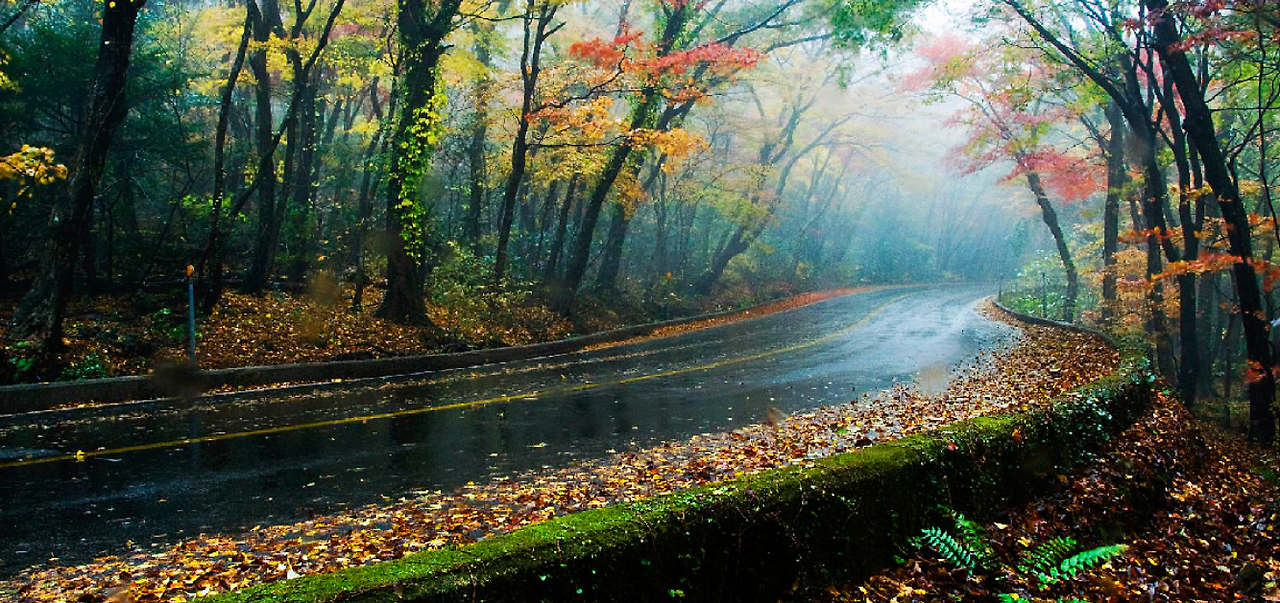 스크린샷 2024-09-16 161230.png