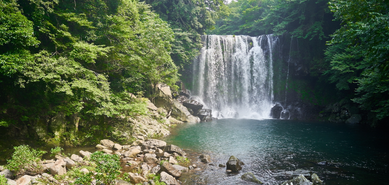 스크린샷 2024-09-16 160909.png