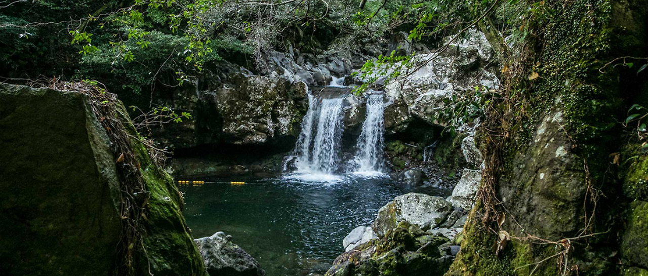 스크린샷 2024-09-16 161045.png