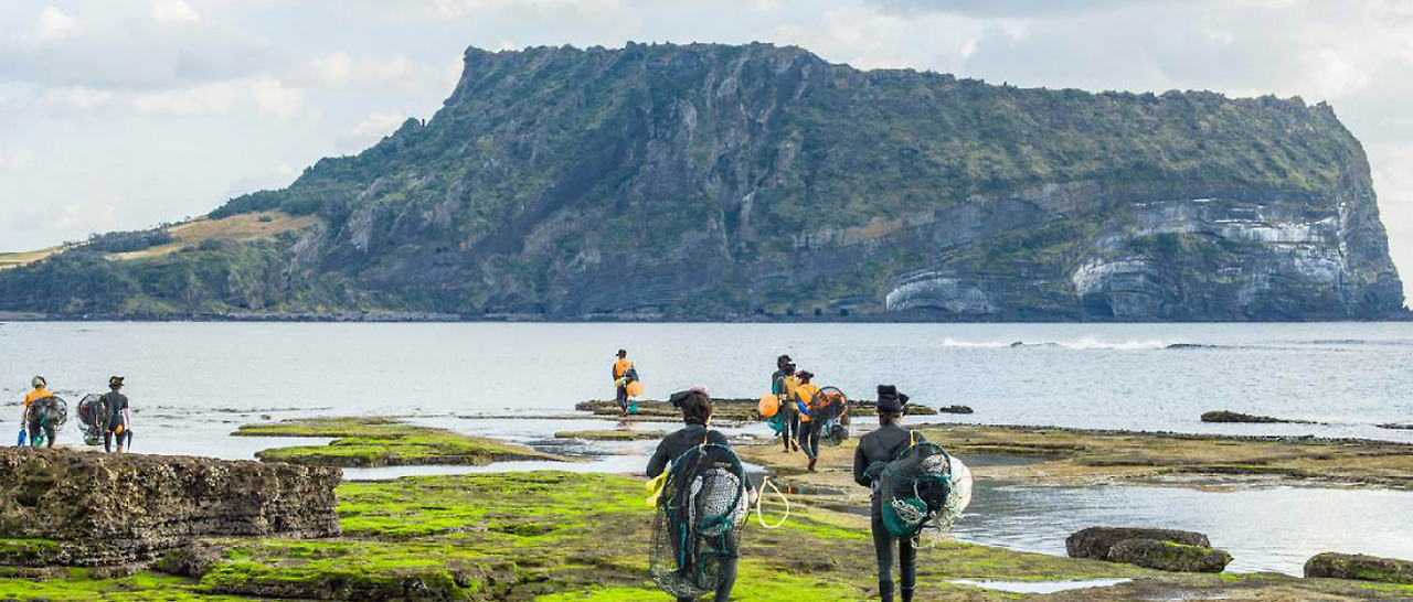 스크린샷 2024-09-16 160836.png