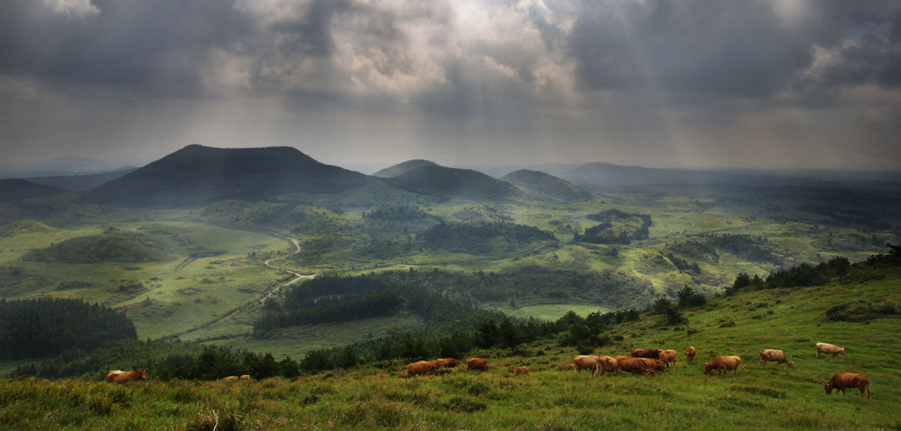 스크린샷 2024-09-16 161535.png