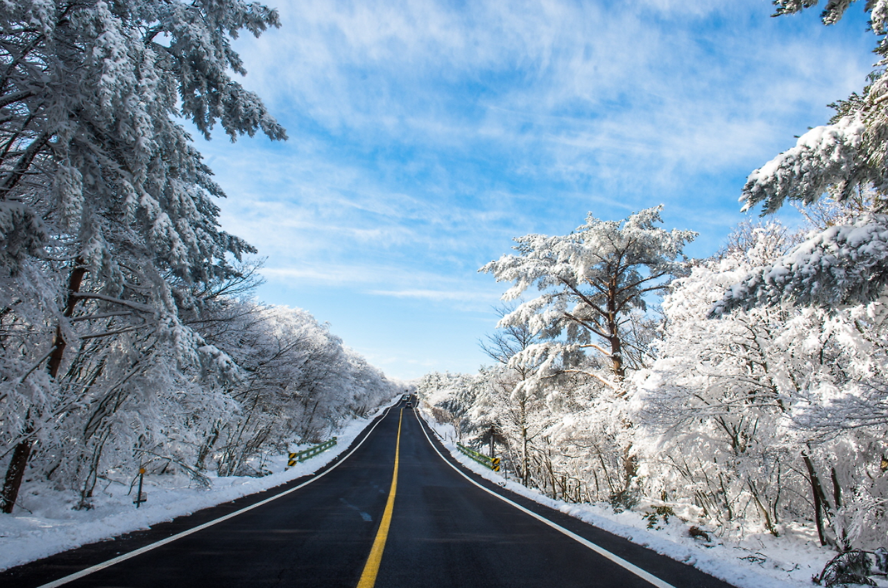 스크린샷 2024-09-16 161134.png