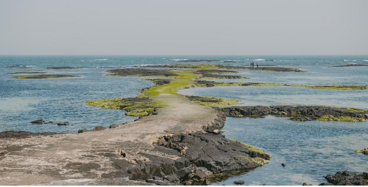 스크린샷 2024-09-16 161411.png