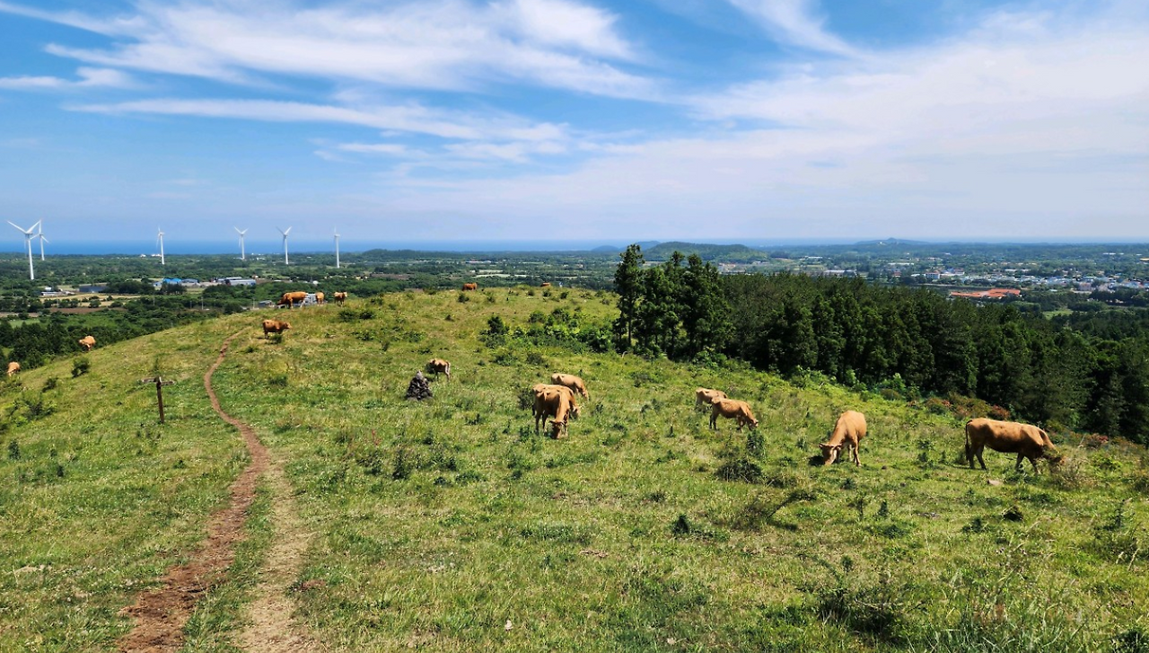 스크린샷 2024-09-16 161604.png