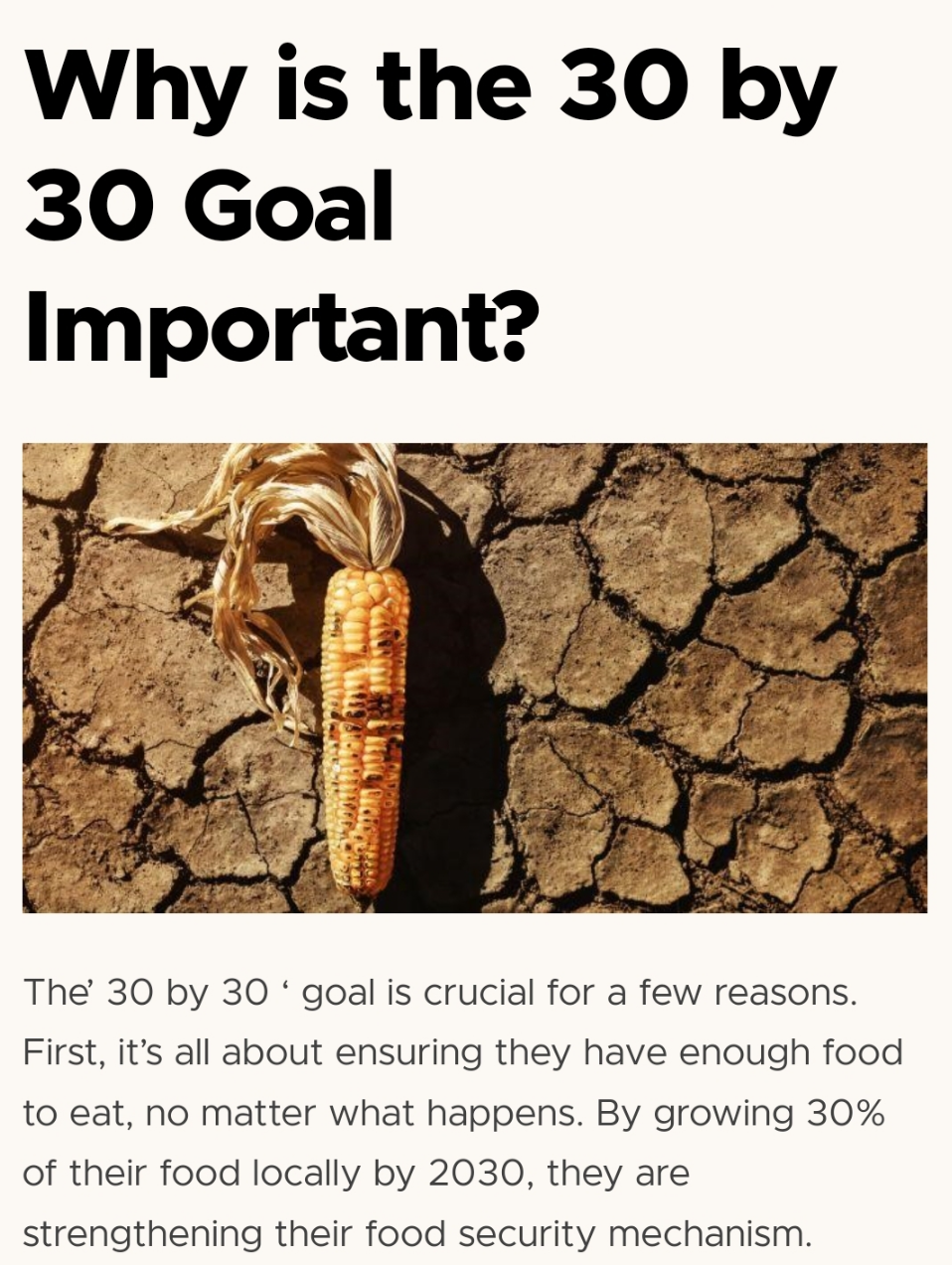 스크린샷 2024-09-16 132201.png