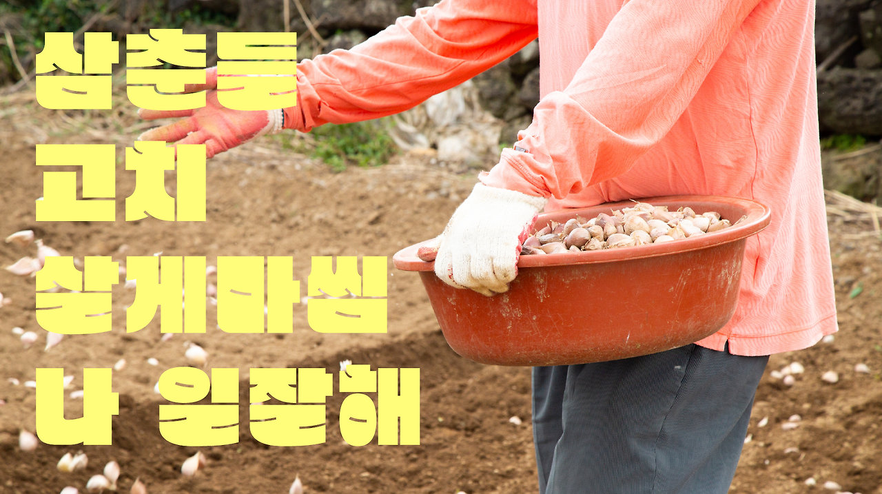 스크린샷 2025-06-10 075246.png