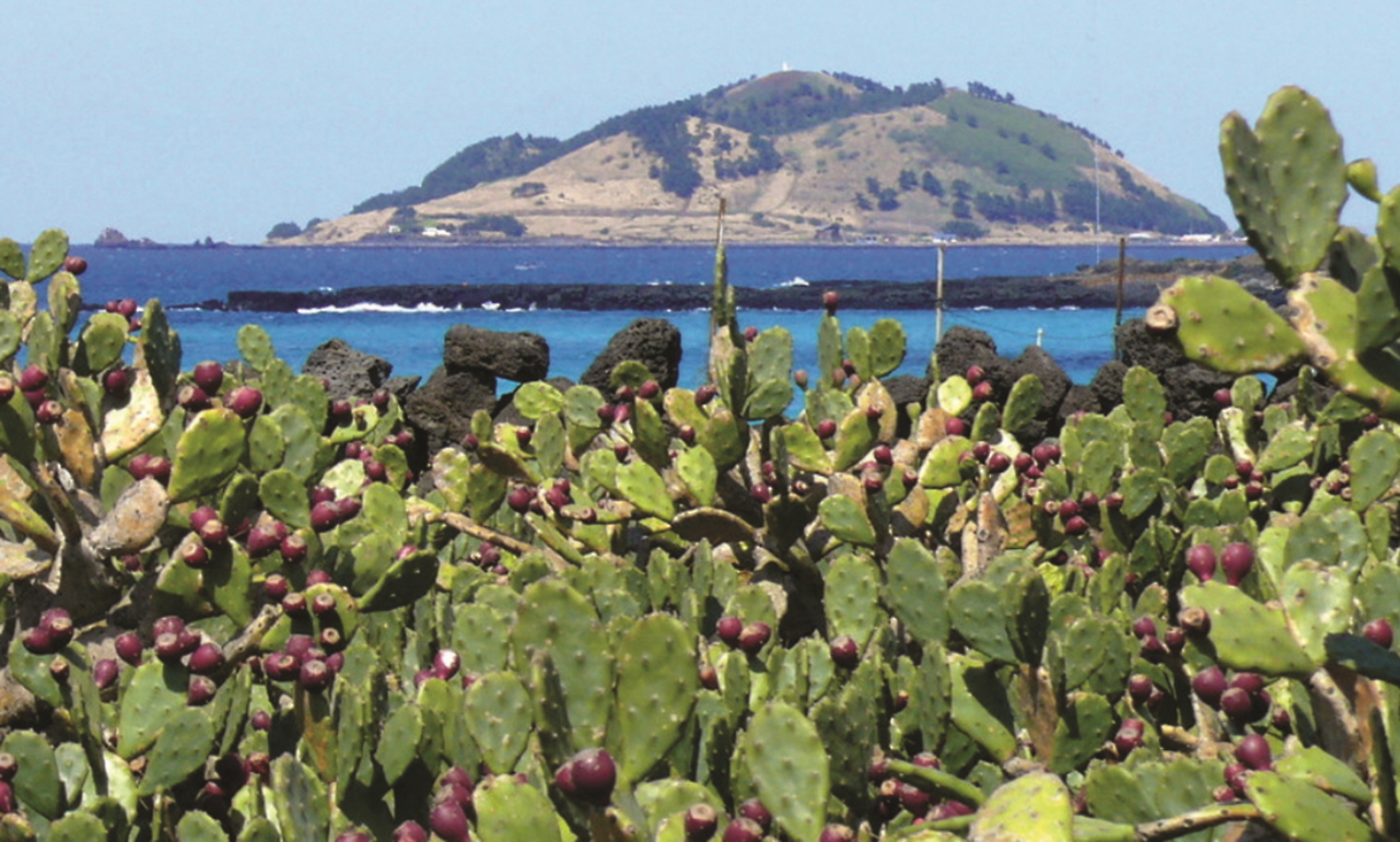 스크린샷 2024-09-16 161010.png