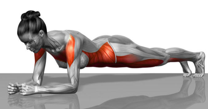 뱃살과 복근운동, 당신의 선택은?1.png