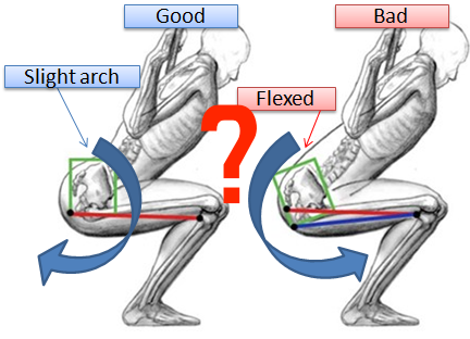 스쿼트할 때 골반이 말리면 잘못된 거라고?4.png