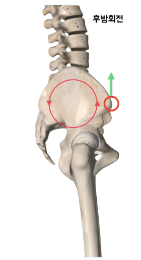 스쿼트시 무릎통증 무릎은 잘못없다1.png