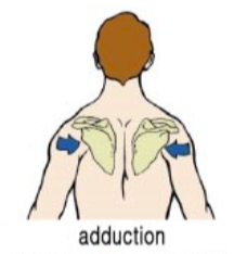 등운동을 잘하기 위한 첫번째5.png