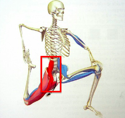 부분적인 살빼기4.png