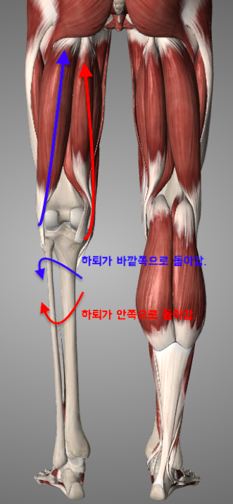 무릎 아픈 당신을 위한 tip2.png