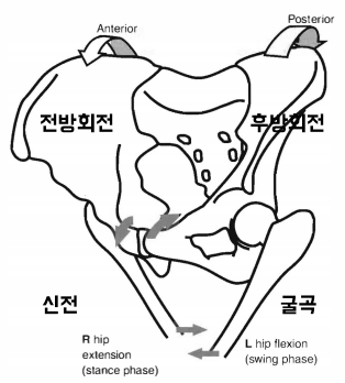 스쿼트시 무릎통증 무릎은 잘못없다2.png