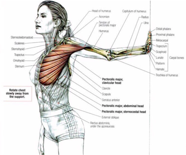 부분적인 살빼기6.png