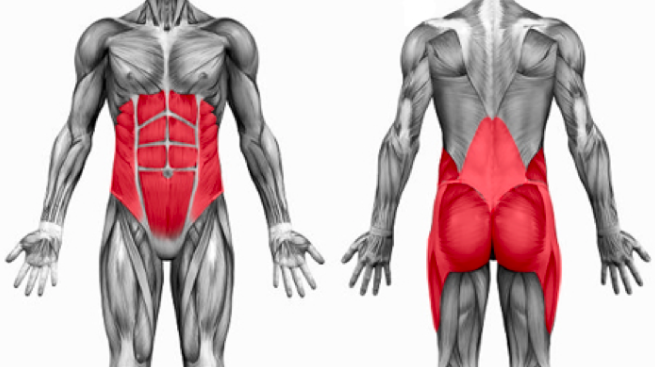 플랭크를 잘하면 코어는 튼튼한가7.png