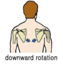 등운동을 잘하기 위한 첫번째8.png