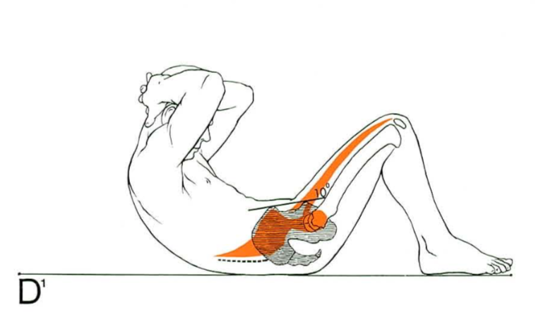 체육시간 윗몸일으키기는 복근운동이 맞을까?2.png