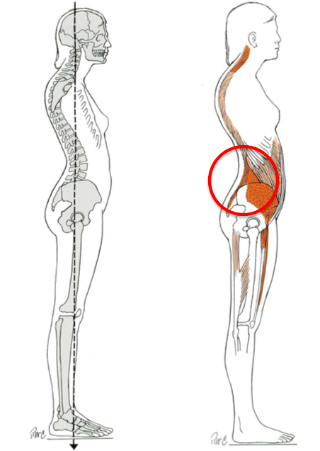 복근운동인가 허리운동인가15.png