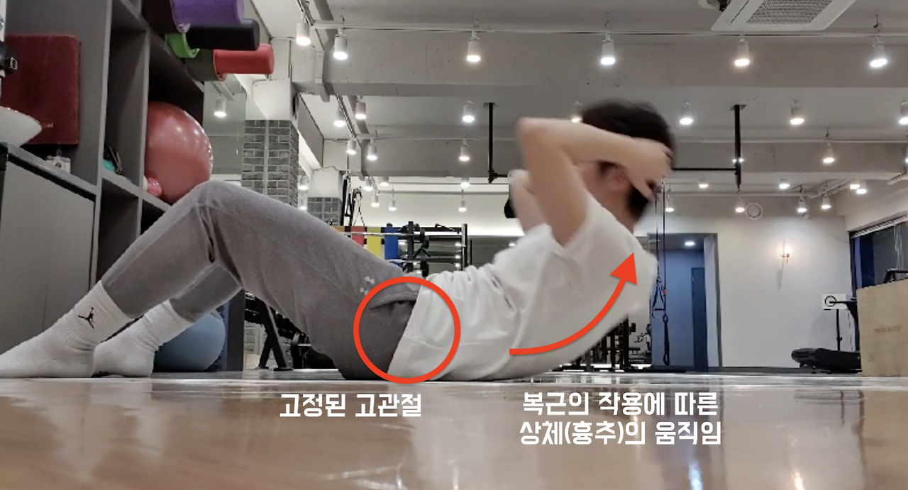 체육시간 윗몸일으키기는 복근운동이 맞을까?7.png