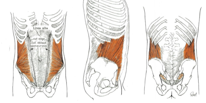 복근운동인가 허리운동인가12.png