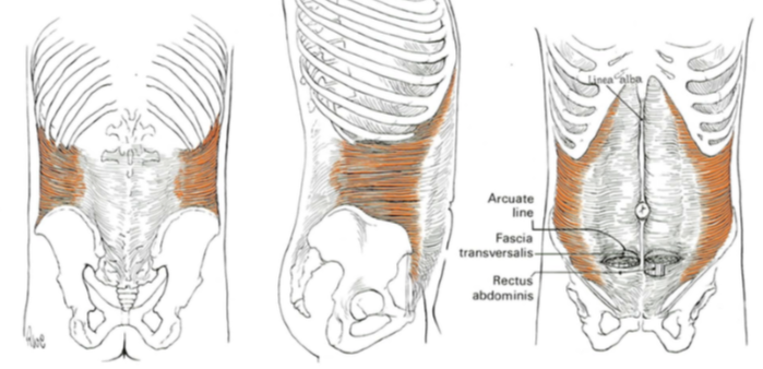 복근운동인가 허리운동인가13.png