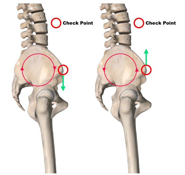 스쿼트시 무릎통증 무릎은 잘못없다4.png
