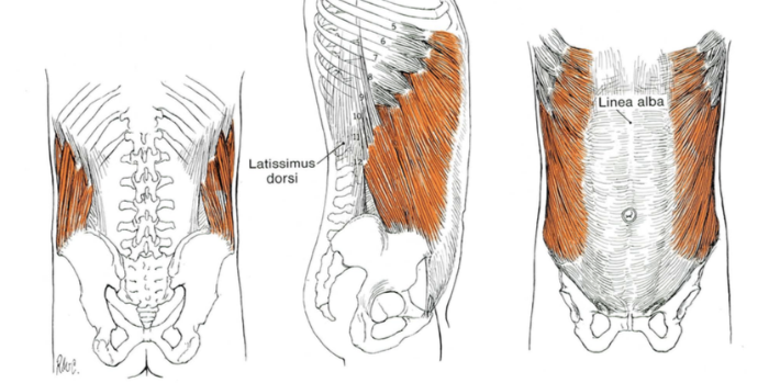 복근운동인가 허리운동인가11.png