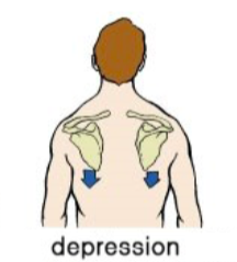 등운동을 잘하기 위한 첫번째4.png