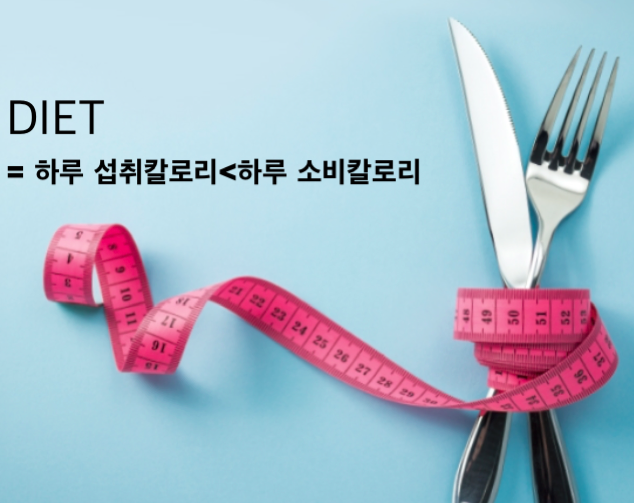 다이어트, 에너지를 태우는 것이 답이다..png