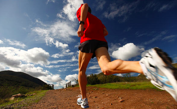 다이어트, 유산소운동 먼저? 근력운동 먼저?1.png