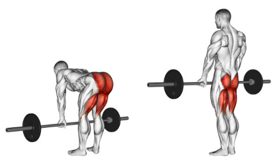 부분적인 살빼기1.png