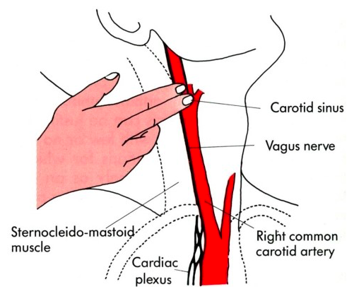 스크린샷 2018-01-28 오전 12.09.07.png