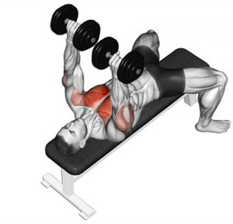 부분적인 살빼기2.png