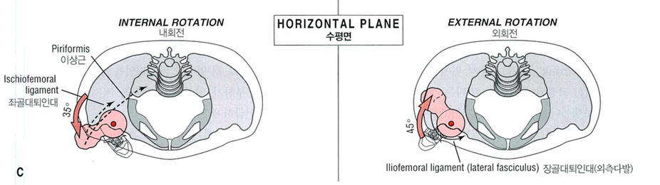 스쿼트시 무릎통증, 무릎은 잘못없다2.png