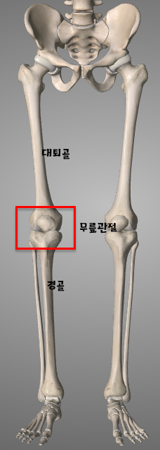 무릎 아픈 당신을 위한 tip.png