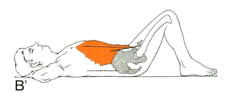 체육시간 윗몸일으키기는 복근운동이 맞을까?.png