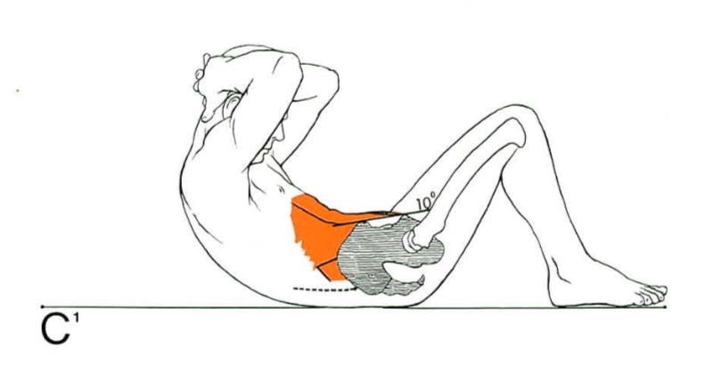 체육시간 윗몸일으키기는 복근운동이 맞을까?1.png