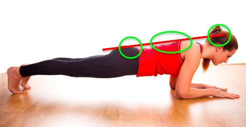 플랭크를 잘하면 코어는 튼튼한가5.png