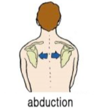 등운동을 잘하기 위한 첫번째6.png