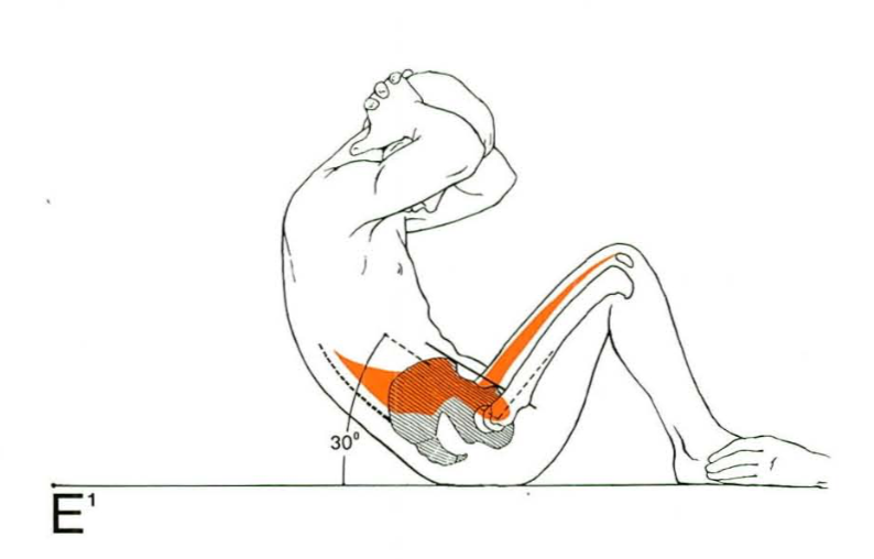 체육시간 윗몸일으키기는 복근운동이 맞을까?3.png