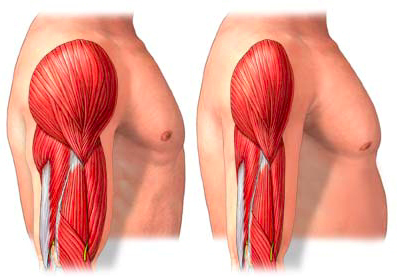 공복운동 당신의 다이어트는 안전한가4.png