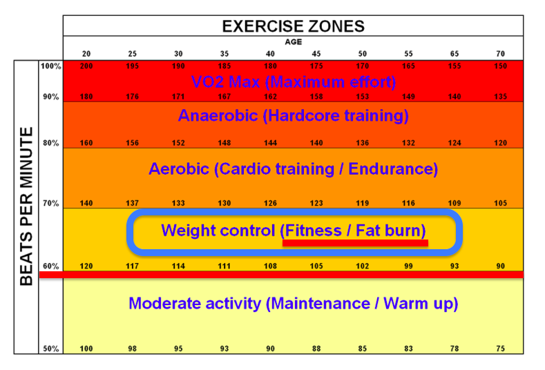 다이어트, 유산소운동 먼저? 근력운동 먼저?3.png