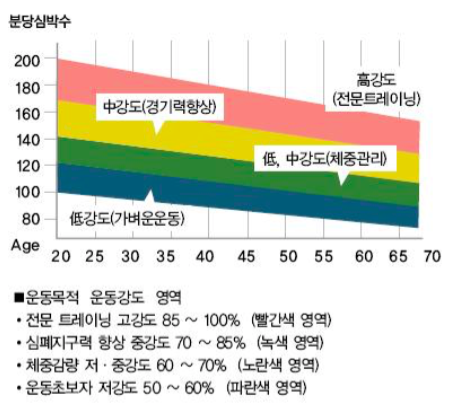 다이어트, 유산소운동 먼저? 근력운동 먼저?4.png