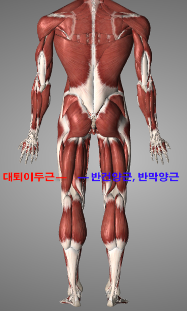 무릎 아픈 당신을 위한 tip.png