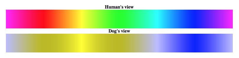 Dog_Vision_Spectrum_1.png