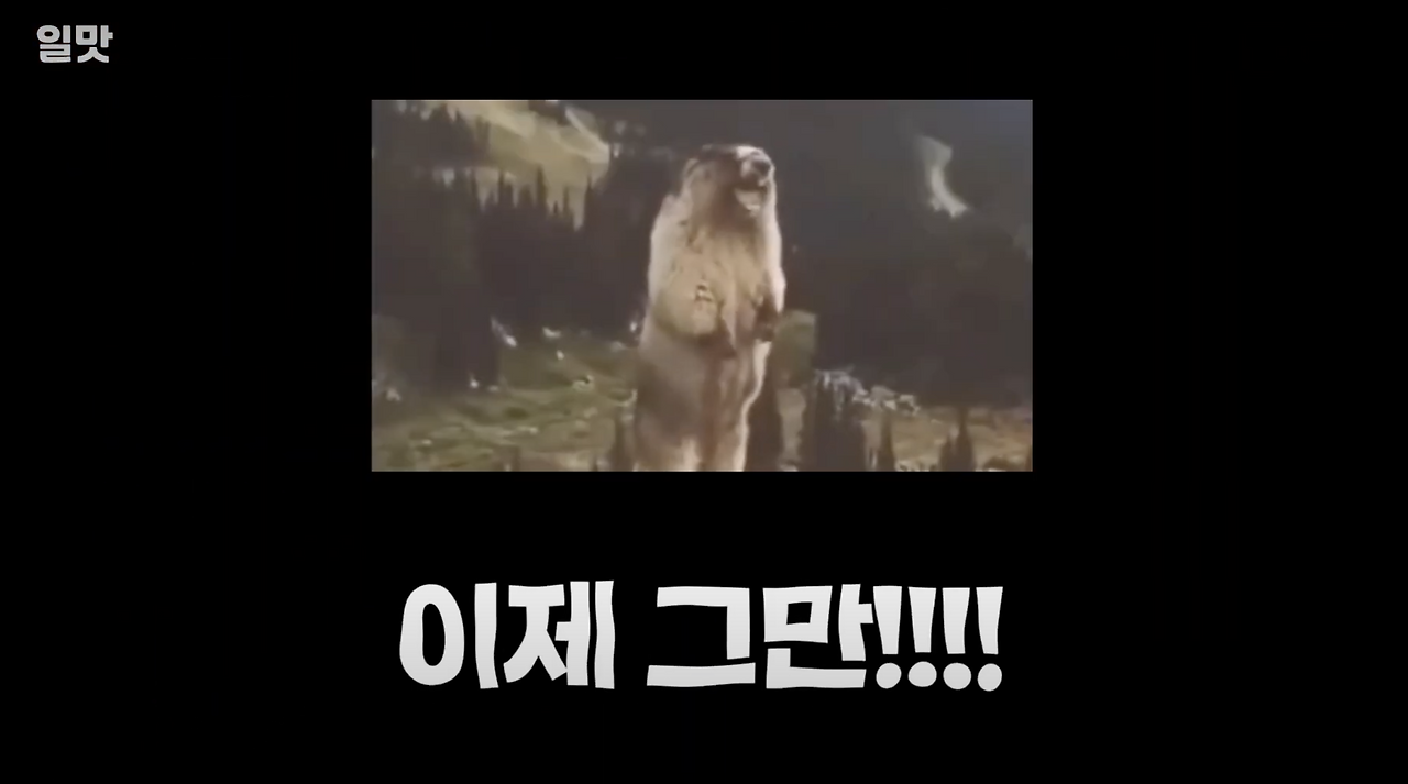 스크린샷 2024-07-21 오후 7.27.57.png