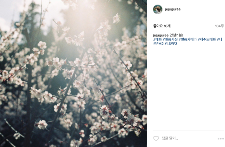 Screen Shot 2017-02-21 at 10.36.46 AM.png