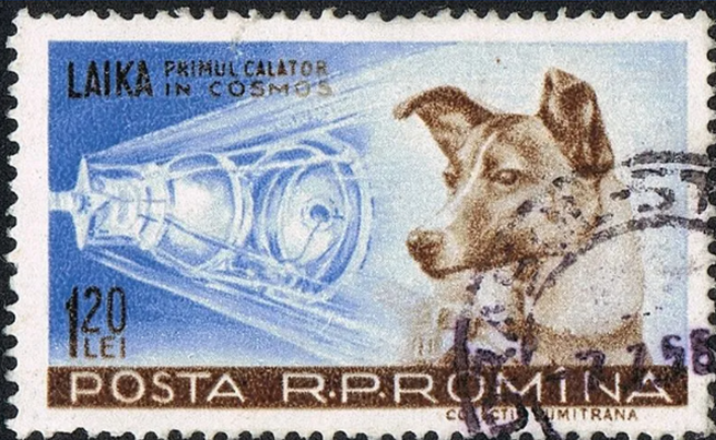 스크린샷 2024-10-09 135704.png